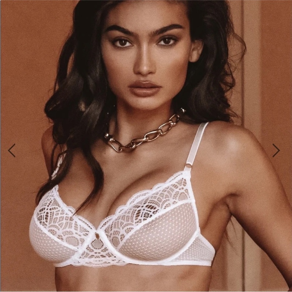 NWT Gooseberry Lush White Lace Bra with Sheer Mesh Panels